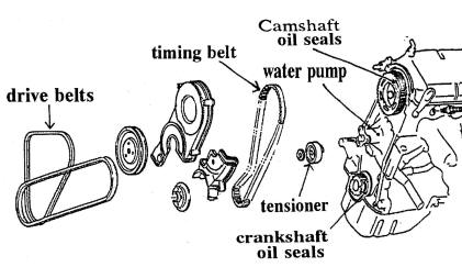 Explosion diagram of Toyota four cylinder engine, labeling the drive belts, timing belt, water pump, tensioner, crankshaft and camshaft oil seals, with other parts shown