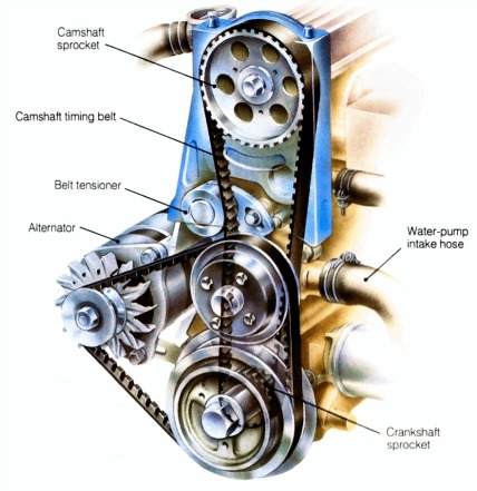 An old, colored drawing of the timing belt on the side of a four cylinder engine, shown with transparent timing belt cover
